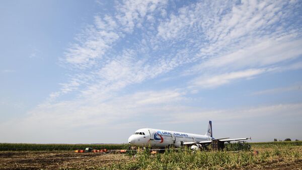 Самолет Airbus А321 авиакомпании Уральские авиалинии в кукурузном поле в районе деревни Рыбаки в Раменском районе Московской области Самолет Airbus А321 авиакомпании Уральские авиалинии в кукурузном поле в районе деревни Рыбаки в Раменском районе Московской области
