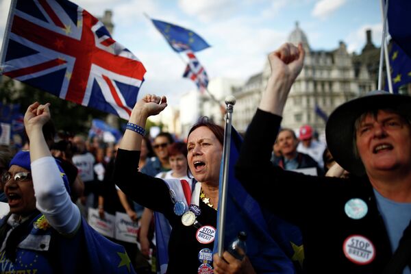 Участники акции против Brexit возле здания парламента в Лондоне Участники акции против Brexit возле здания парламента в Лондоне