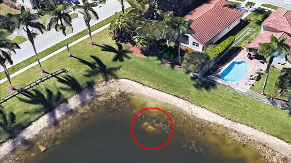 Спутниковый снимок сервиса Google Earth Спутниковый снимок сервиса Google Earth