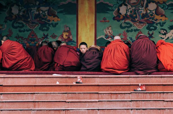 Sandra Morante. Работа финалиста конкурса фотографии EyeEm Awards 2019 Sandra Morante. Работа финалиста конкурса фотографии EyeEm Awards 2019