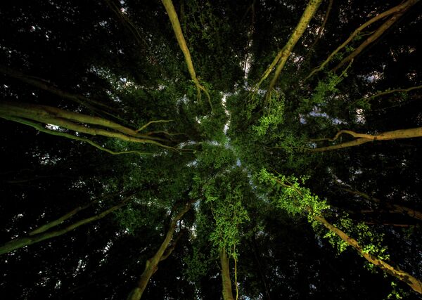 Ian Wade. Работа финалиста конкурса Environmental Photographer of the Year 2019 Ian Wade. Работа финалиста конкурса Environmental Photographer of the Year 2019