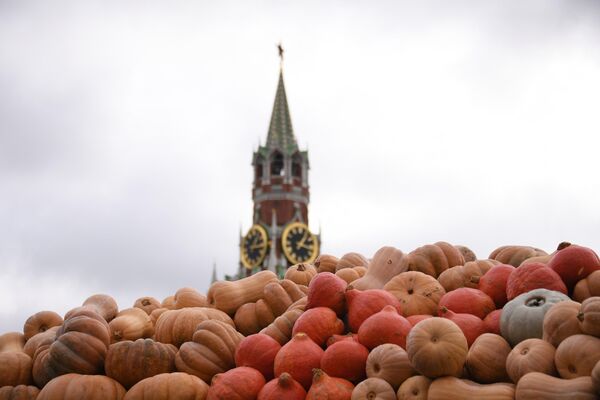 Тыквы на площадке фестиваля Золотая осень на Красной площади Тыквы на площадке фестиваля Золотая осень на Красной площади