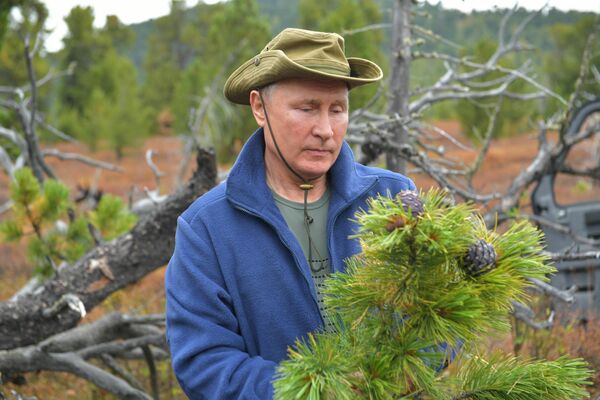 Президент РФ Владимир Путин во время прогулки в тайге Президент РФ Владимир Путин во время прогулки в тайге