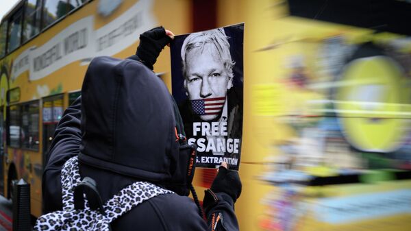Участник акции против преследования основателя Wikileaks Джулиана Ассанжа в Лондоне Участник акции против преследования основателя Wikileaks Джулиана Ассанжа в Лондоне