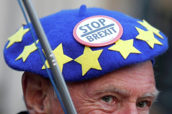 Противник Brexit у здания Парламента в Лондоне Противник Brexit у здания Парламента в Лондоне