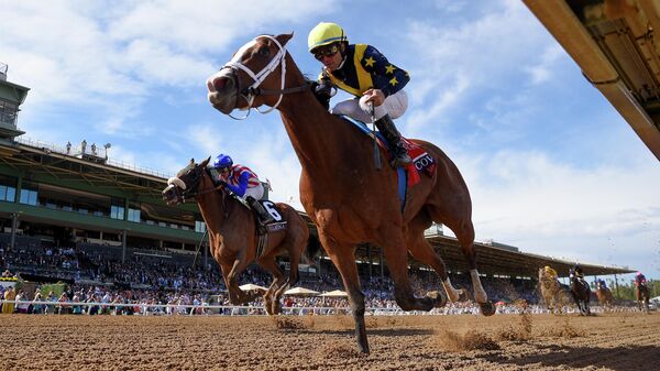 Джоэл Росарио учавствует в скачках Breeders' Cup на лошади Ковфефе. 2 ноября 2019 Джоэл Росарио учавствует в скачках Breeders' Cup на лошади Ковфефе. 2 ноября 2019