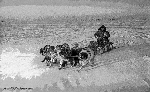 В окрестностях Диксона. 1976 год В окрестностях Диксона. 1976 год