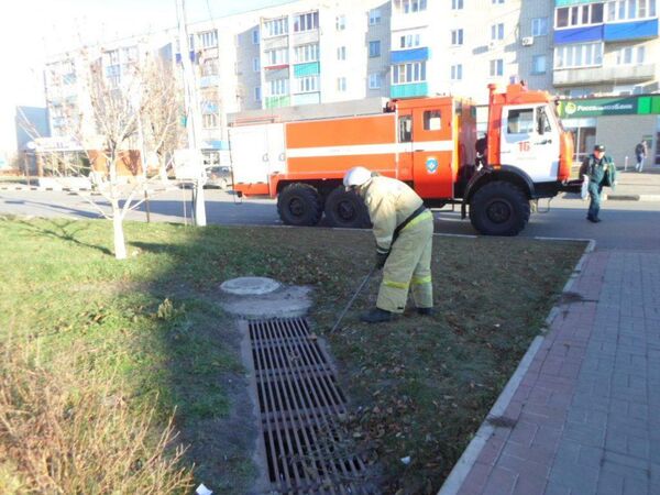 Белгородские спасатели достали упавшую в канализационную траншею кошку. 22 ноября 2019 Белгородские спасатели достали упавшую в канализационную траншею кошку. 22 ноября 2019
