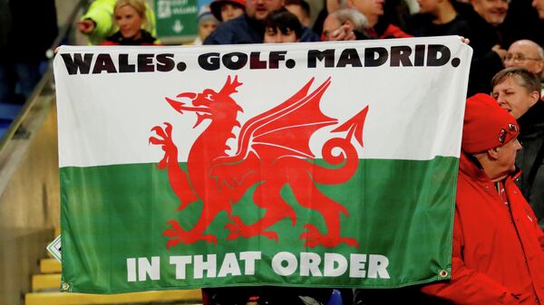 Болельщики держат флаг Уэльса со ссылкой на Гарета Бэйла