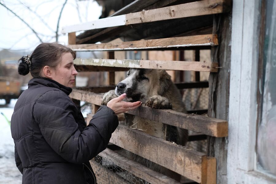 Кавказская овчарка подпускает к себе только Диану Кавказская овчарка подпускает к себе только Диану