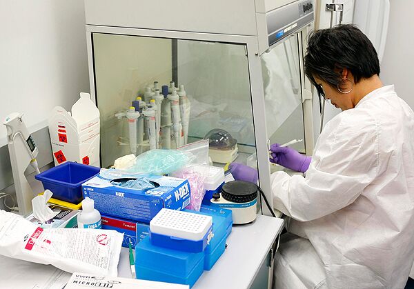 Россия столкнется с гриппом A/H1N1 в ноябре Россия столкнется с гриппом A/H1N1 в ноябре