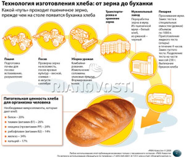 Технология изготовления хлеба: от зерна до буханки Технология изготовления хлеба: от зерна до буханки