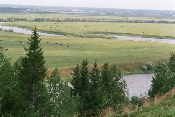 Луга реки Ижмы Луга реки Ижмы