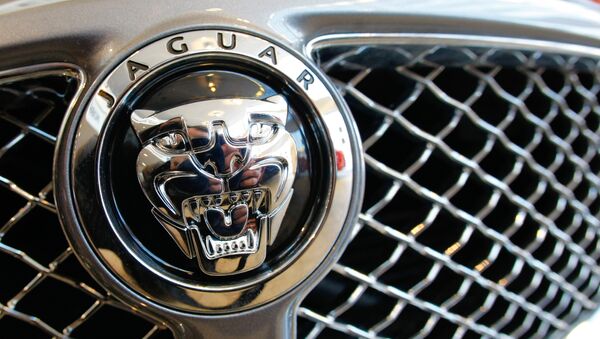 Jaguar. Архивное фото Jaguar. Архивное фото