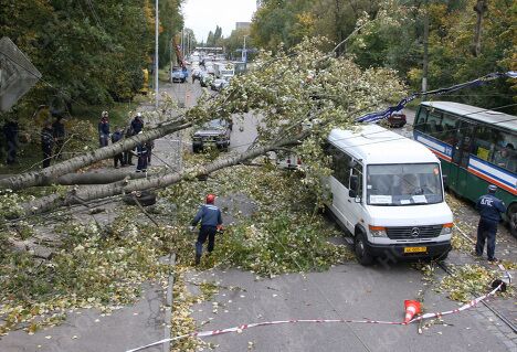 Ликвидация последствий штормового ветра в Калининграде Ликвидация последствий штормового ветра в Калининграде