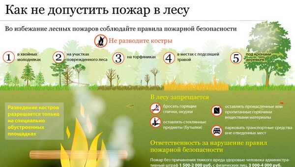 Как не допустить пожар в лесу Как не допустить пожар в лесу