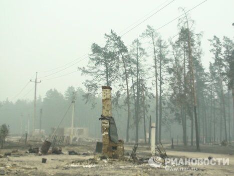 Деревня Криуши Клепиковского района Рязанской области Деревня Криуши Клепиковского района Рязанской области