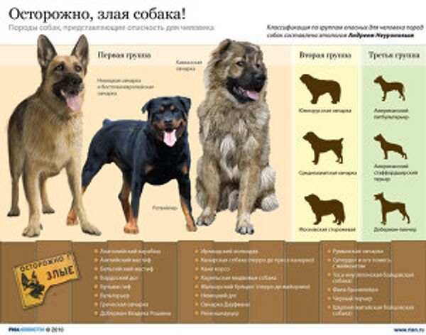 Осторожно! злая собака Осторожно! злая собака