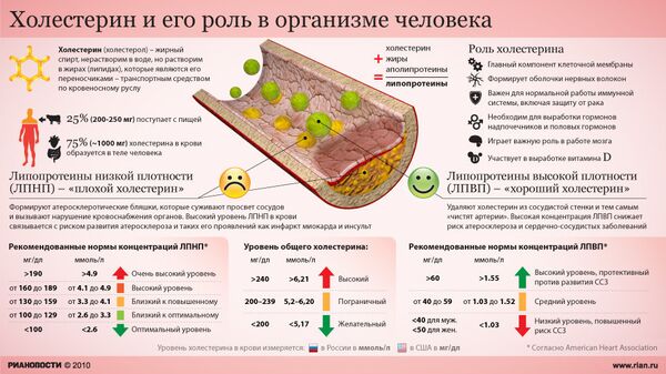 Холестерин и его роль в жизни человека Холестерин и его роль в жизни человека