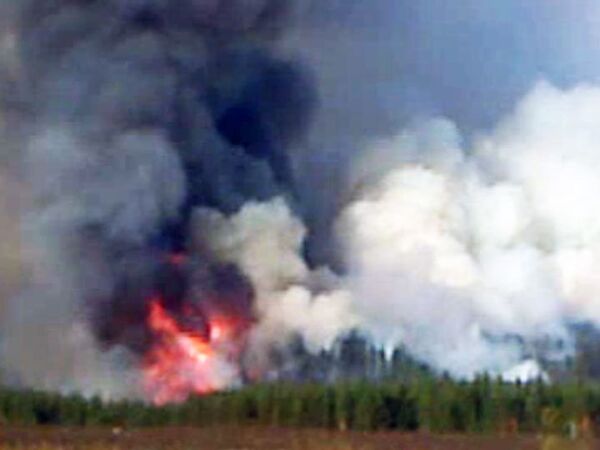 Несколько гектаров леса горит в Ульяновской области Несколько гектаров леса горит в Ульяновской области