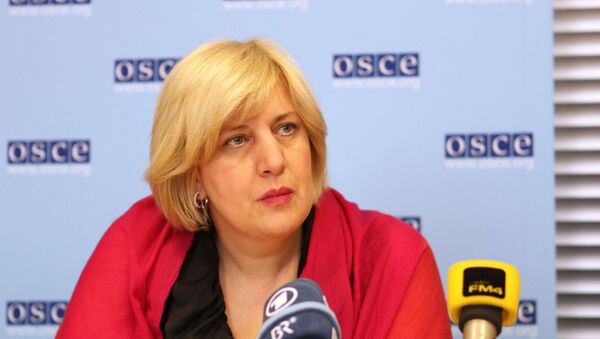 Представитель ОБСЕ по вопросам свободы СМИ Дунья Миятович, архивное фото Представитель ОБСЕ по вопросам свободы СМИ Дунья Миятович, архивное фото