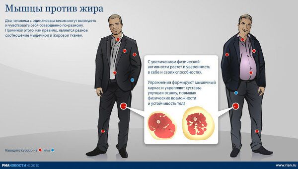 Мышцы против жира Мышцы против жира