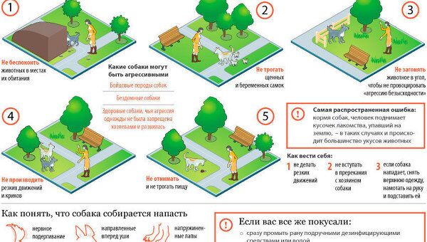 Агрессия у собак: о чем помнить и как защититься Агрессия у собак: о чем помнить и как защититься