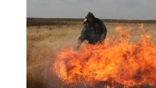 Природный пожар в Амурской области. Архив Природный пожар в Амурской области. Архив