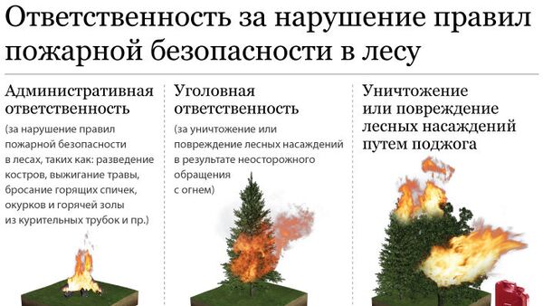 Ответственность за нарушение правил пожарной безопасности в лесу Ответственность за нарушение правил пожарной безопасности в лесу