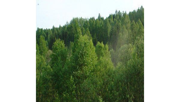 Кавказский государственный природный биосферный заповедник. Справка Кавказский государственный природный биосферный заповедник. Справка