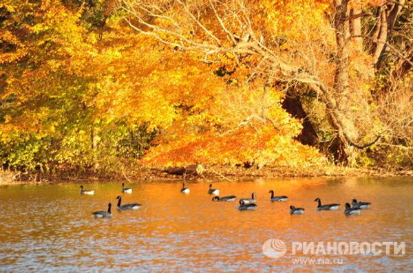 В Нью-Йорк после снегопада пришло бабье лето В Нью-Йорк после снегопада пришло бабье лето