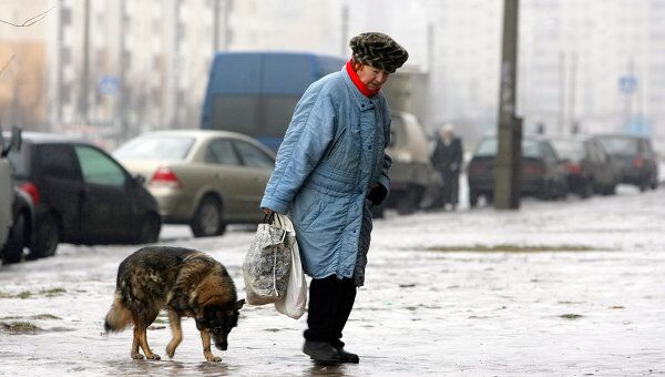 Москвичам рекомендуют привить от бешенства своих питомцев Москвичам рекомендуют привить от бешенства своих питомцев