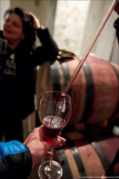 Wine Day, или Один день в винных подвалах Wine Day, или Один день в винных подвалах