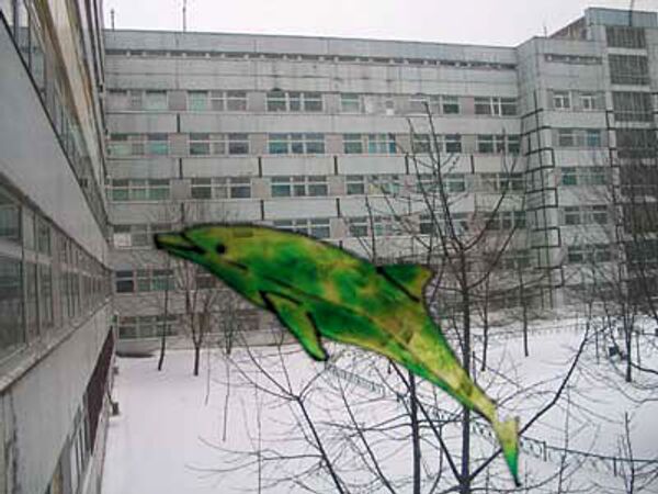 www.donors.ru. Фото Гарыш Светы, 17 лет www.donors.ru. Фото Гарыш Светы, 17 лет