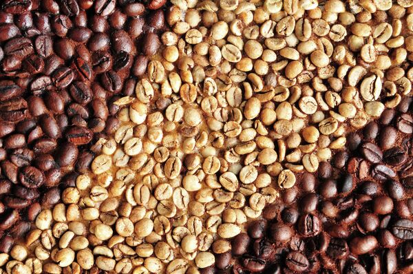 Самая большая картина из зерен кофе в Парке Горького Самая большая картина из зерен кофе в Парке Горького