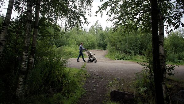 Прогулка в лесу Прогулка в лесу