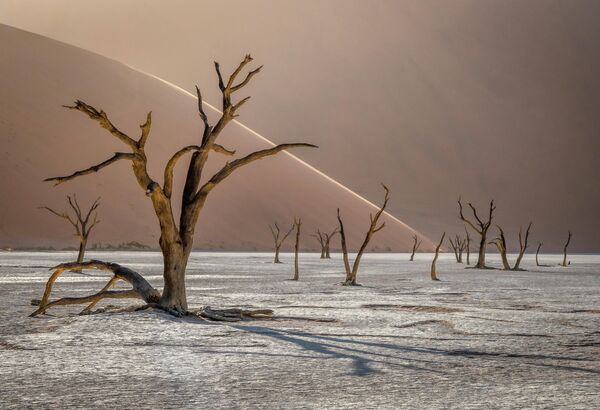 Tomasz Szpila. ТОП-101 конкурса The International Landscape Photographer of the Year 2019 Tomasz Szpila. ТОП-101 конкурса The International Landscape Photographer of the Year 2019