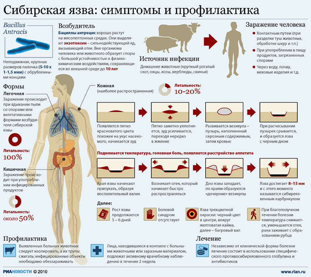 Язвы в полости рта фото