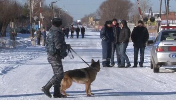 Сотрудник полиции с собакой дежурит у исправительной колонии №6 города Копейска Челябинской области Сотрудник полиции с собакой дежурит у исправительной колонии №6 города Копейска Челябинской области