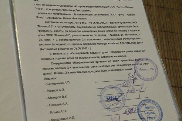 Перед каждым закрытием подвала составляется акт, что кошек в нем нет Перед каждым закрытием подвала составляется акт, что кошек в нем нет