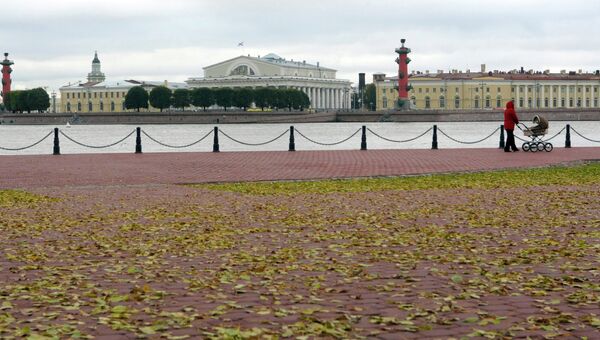 Вид на здание Биржи и Ростральные колонны на стрелке Васильевского острова, архивное фото. Вид на здание Биржи и Ростральные колонны на стрелке Васильевского острова, архивное фото.