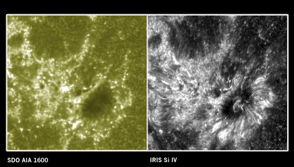 Справа – изображение участка солнечной атмосферы, полученное телескопом IRIS, слева - солнечной обсерваторией SDO Справа – изображение участка солнечной атмосферы, полученное телескопом IRIS, слева - солнечной обсерваторией SDO