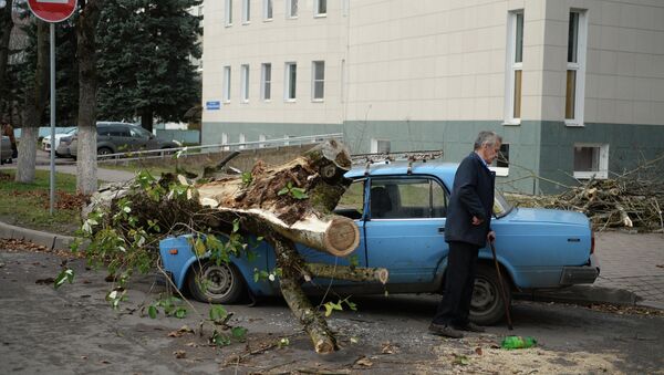 Последствия урагана Святой Иуда в Великом Новгороде Последствия урагана Святой Иуда в Великом Новгороде