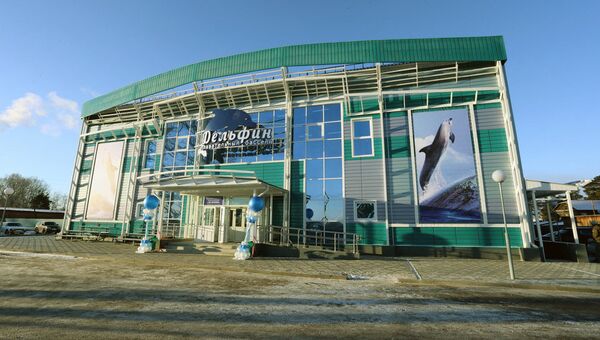 Бассейн Дельфин Бассейн Дельфин
