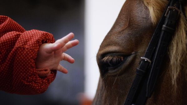 Под Петербургом откроют реабилитационный конный центр для детей-инвалидов