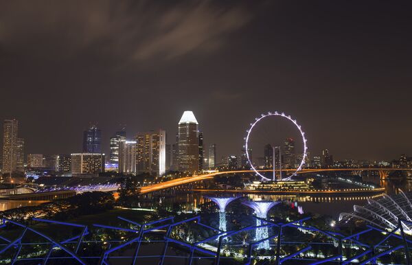 Singapore Flyer Singapore Flyer