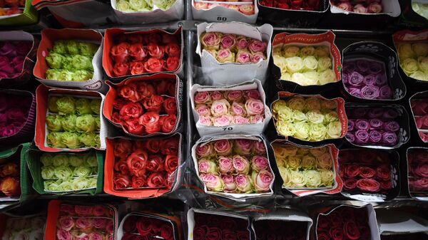 Продажа цветов Продажа цветов