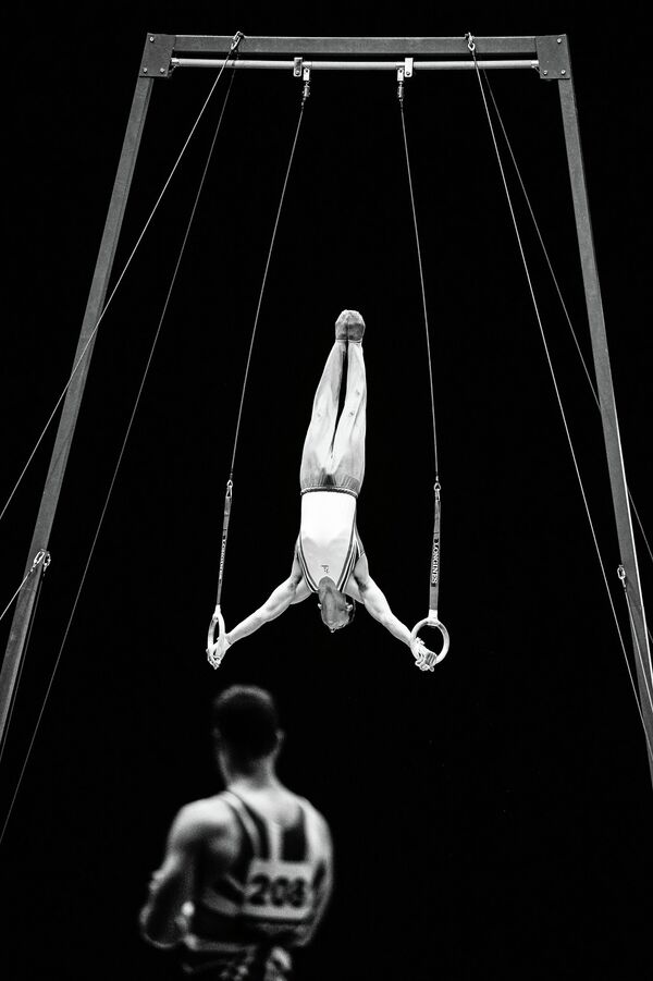 Спортивная гимнастика Спортивная гимнастика