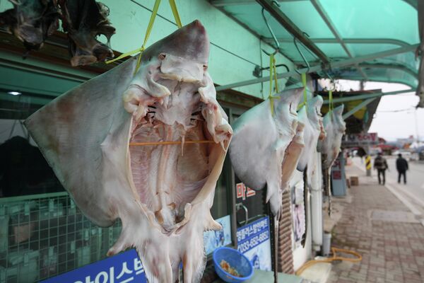 Рынок морепродуктов возле пляжа Gyeongpo Beach в городе Каннын, Республика Корея Рынок морепродуктов возле пляжа Gyeongpo Beach в городе Каннын, Республика Корея
