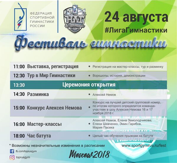 Фестиваль гимнастики Фестиваль гимнастики